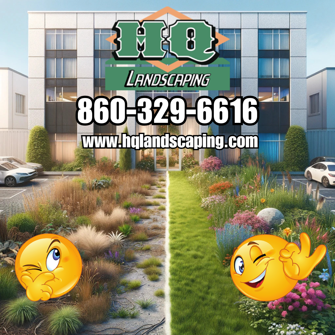 Before and after view of commercial property landscaping, showcasing one half with neglected overgrown grass and the other half with vibrant, well-maintained spring blooms and trimmed lawns