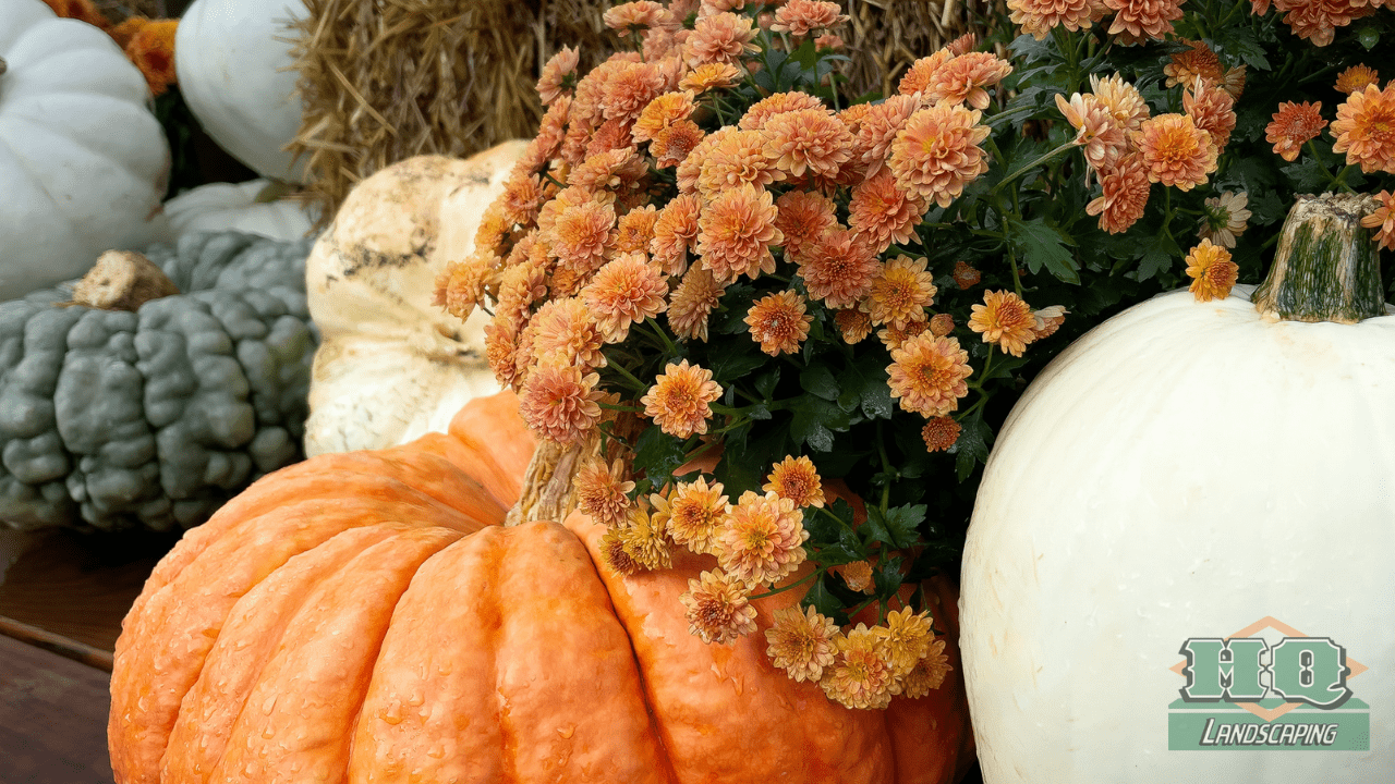 pumkin orange flowers and ghords